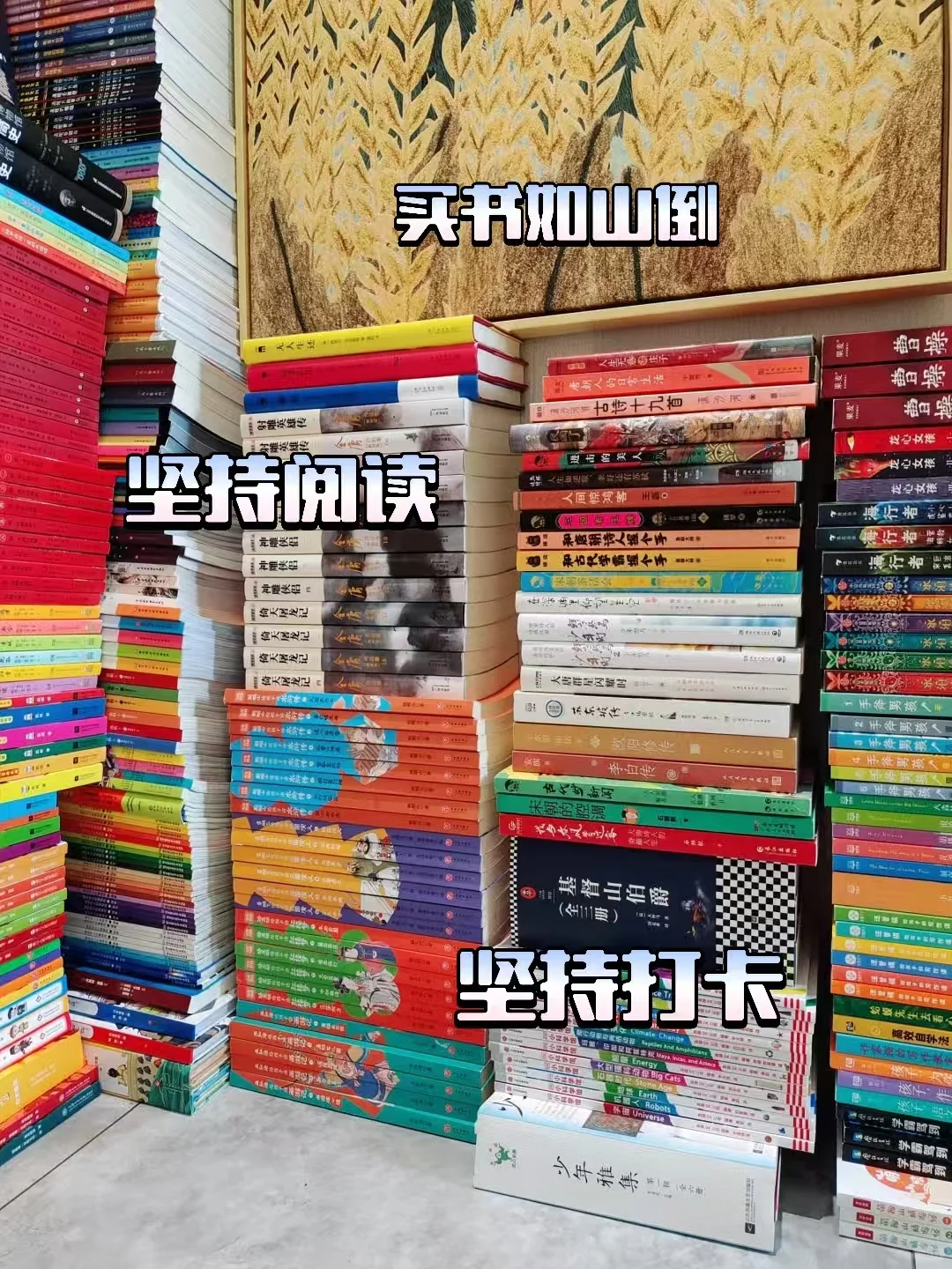 三年级阅读王者炼成记！500 + 书单惊艳亮相