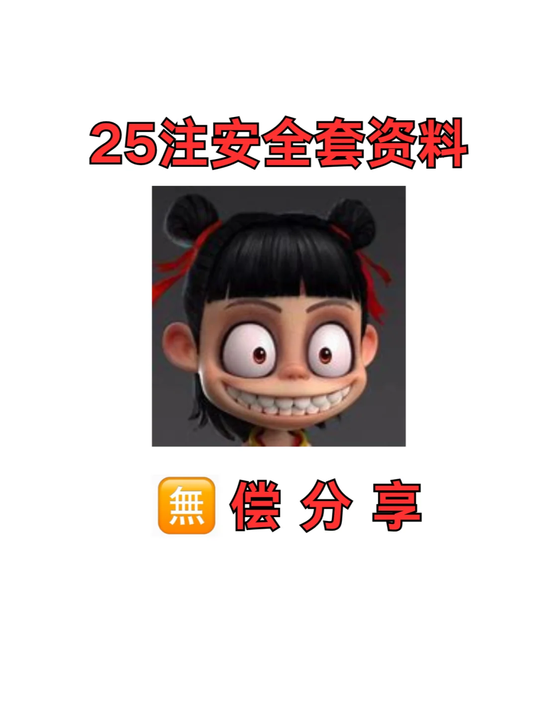 25注安资料进