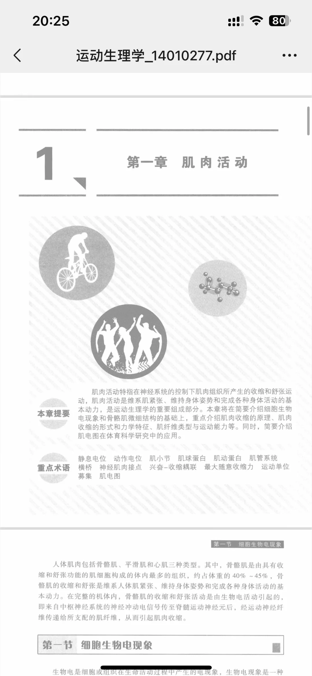 运动生理学邓树勋pdf版电子书出