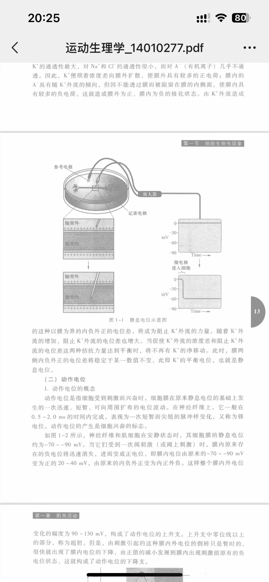 运动生理学邓树勋pdf版电子书出