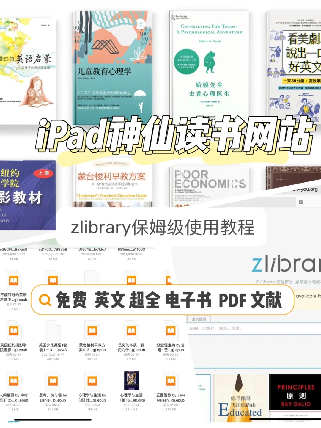 【iPad宝藏读书网站zlibrary】超全电子书下载