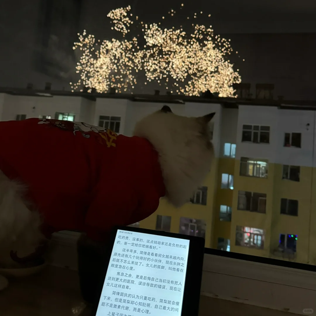 纸质书vs电纸书阅读体验