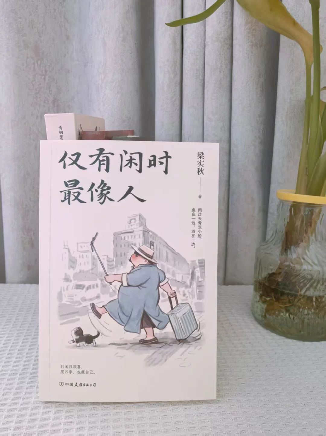 4月小众高质量治愈书单，分分钟提升文笔❗