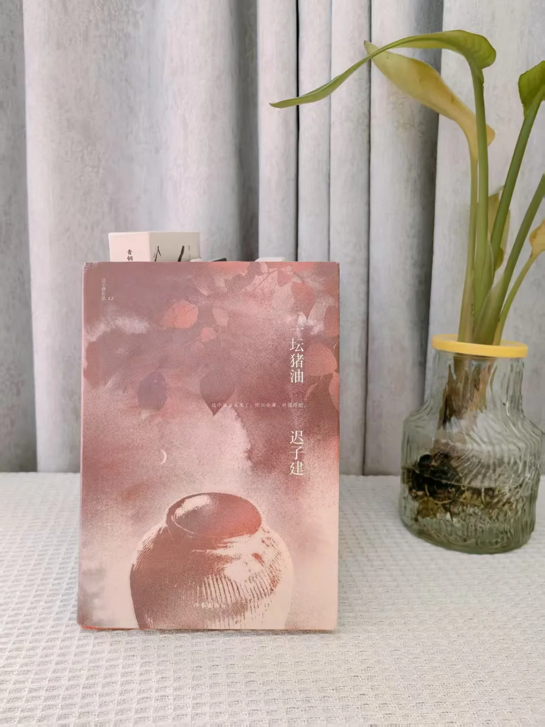 4月小众高质量治愈书单，分分钟提升文笔❗