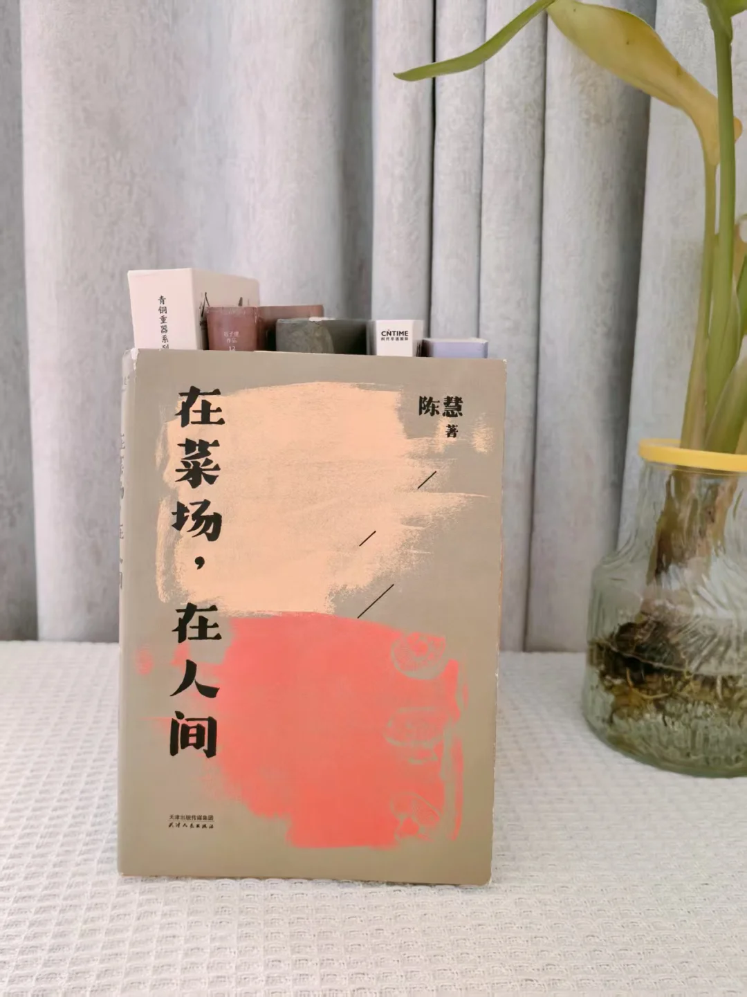4月小众高质量治愈书单，分分钟提升文笔❗