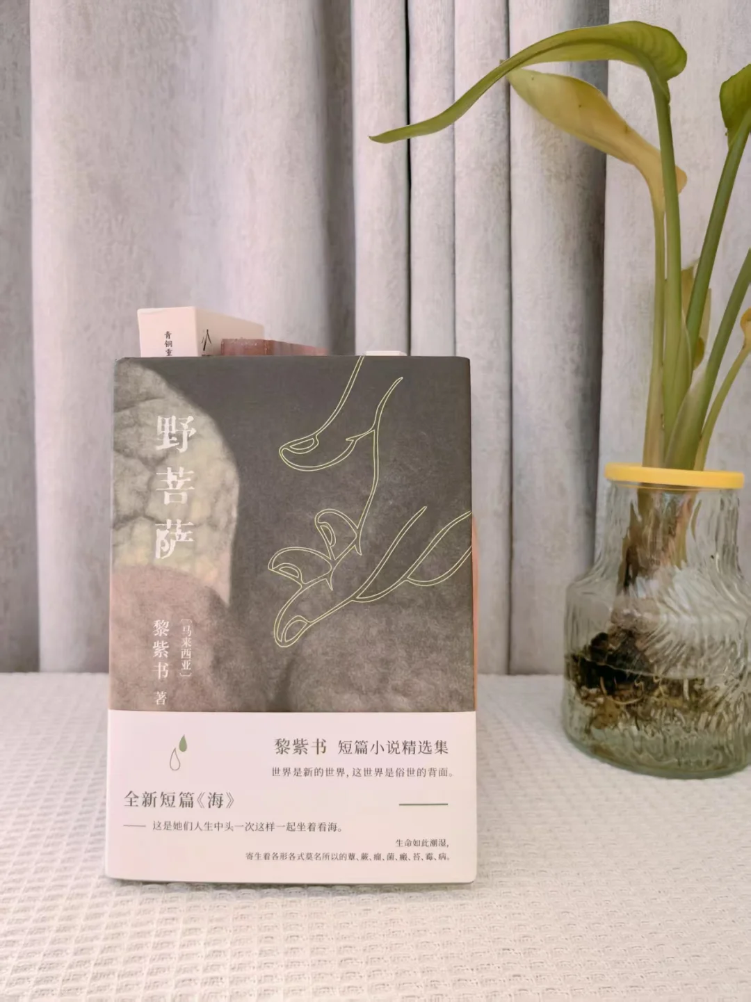 4月小众高质量治愈书单，分分钟提升文笔❗