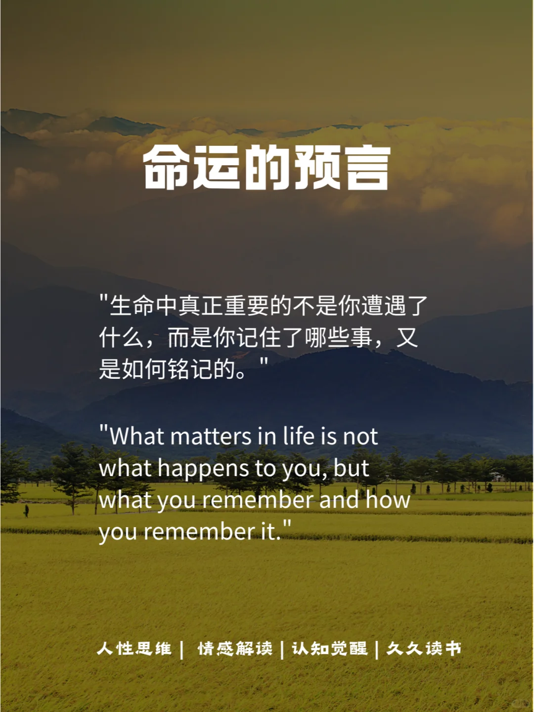 多读点电子书，把自己重新洋一遍