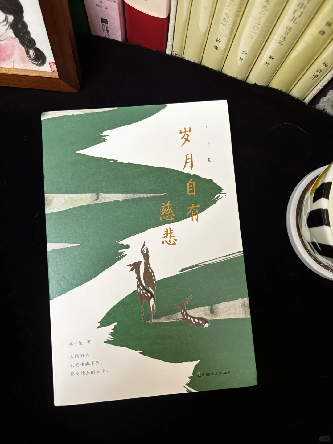 春日治愈书单📚，一些适合春天读的书🍃
