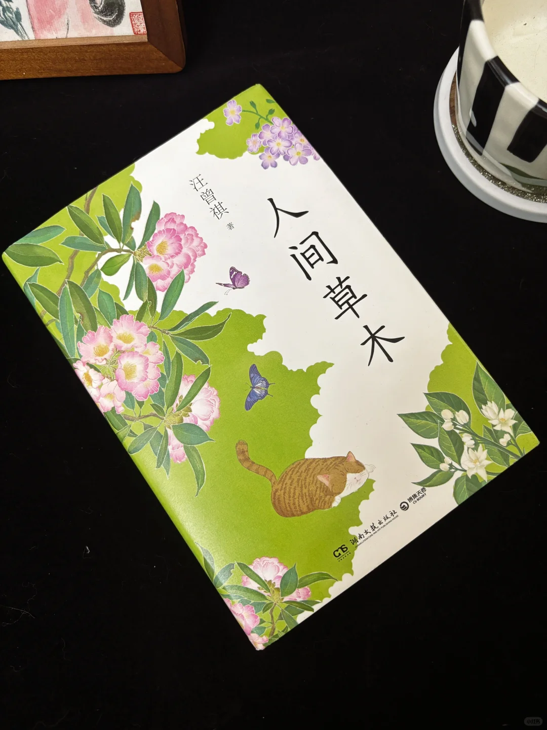 春日治愈书单📚，一些适合春天读的书🍃