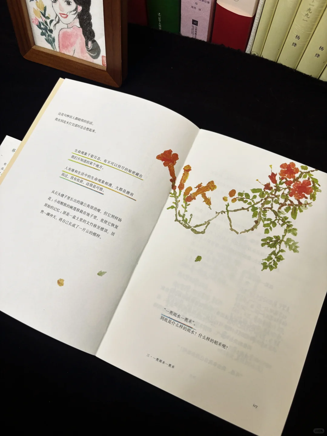 春日治愈书单📚，一些适合春天读的书🍃