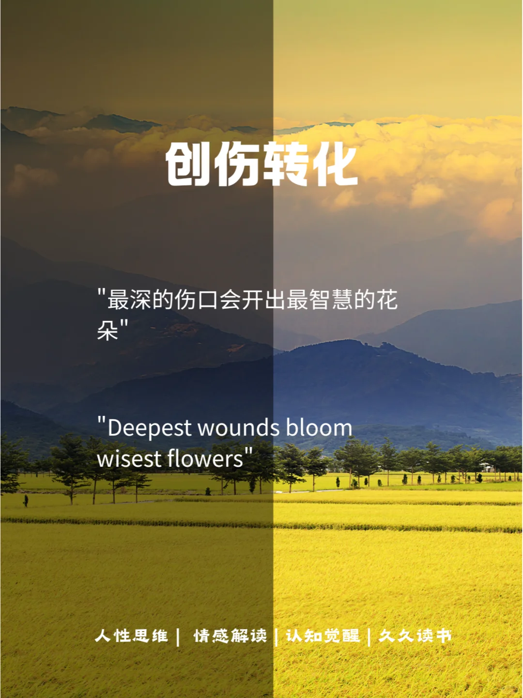 电子书当中的金句，每日一句