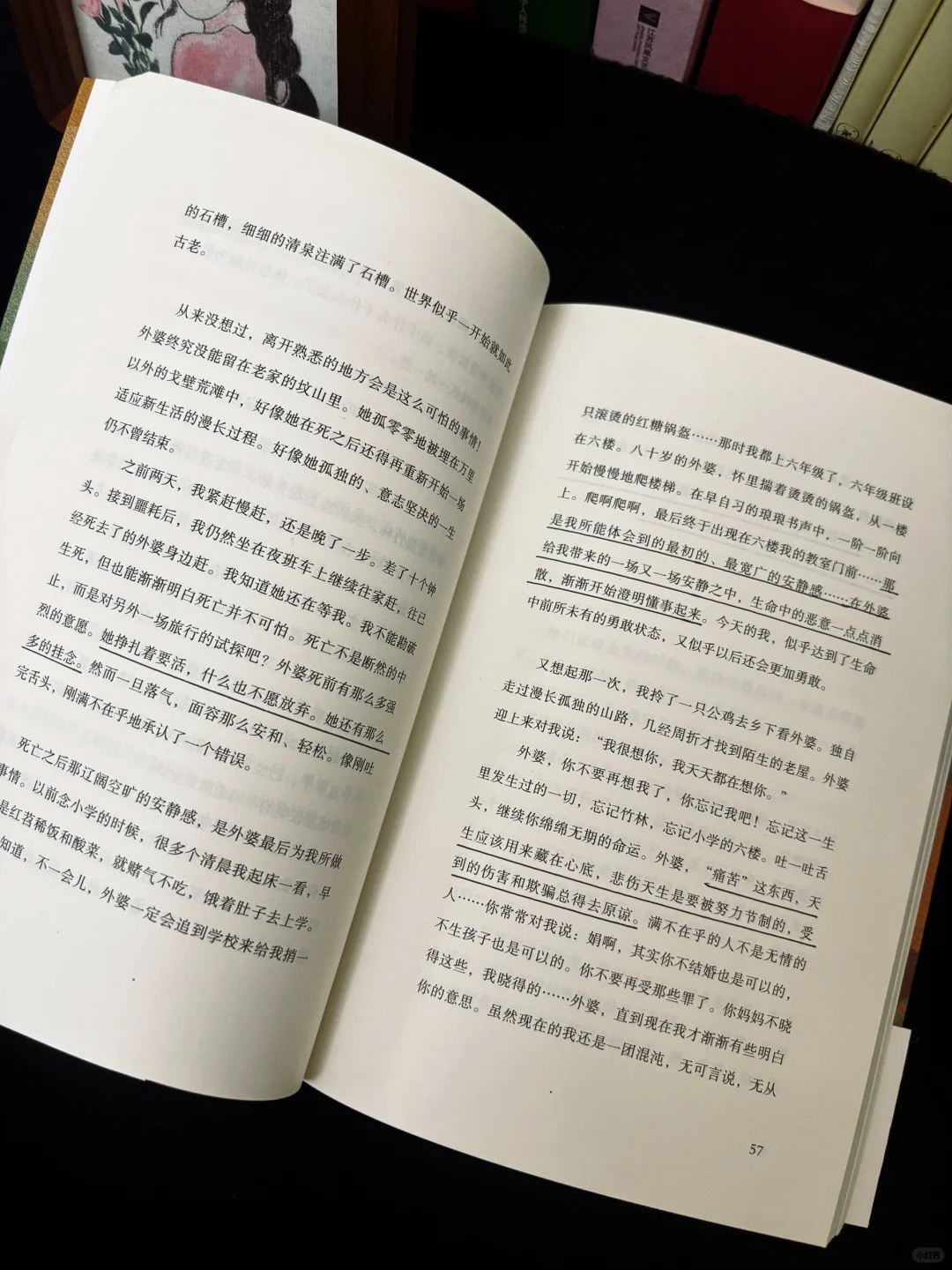 春日治愈书单📚，一些适合春天读的书🍃