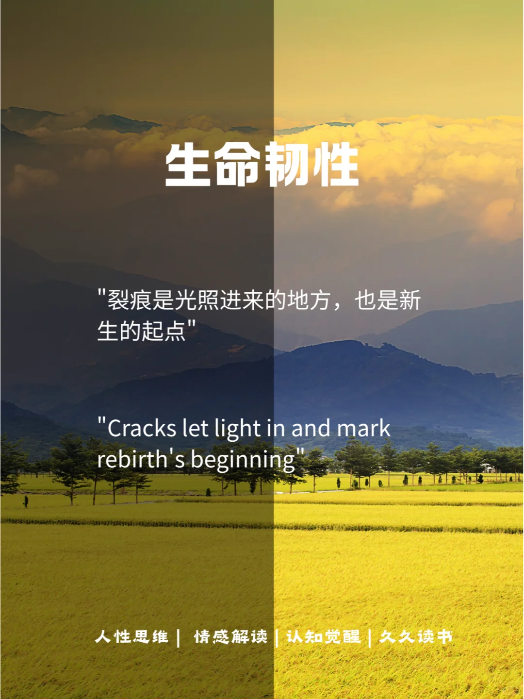 读书自由，只需半杯奶茶实现电子书自由！！