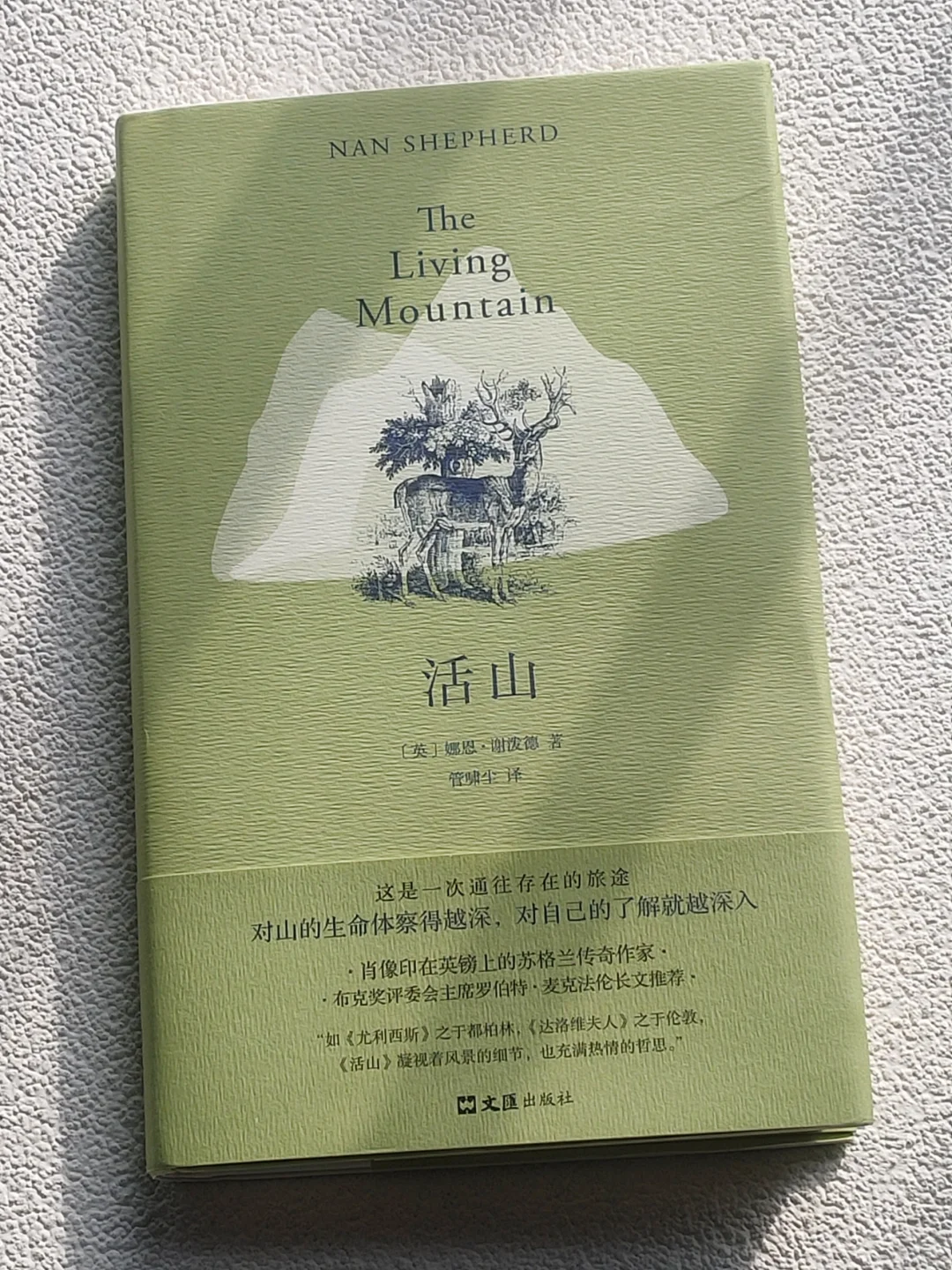 不管看多少遍《活山》，依然会给我以震撼❗