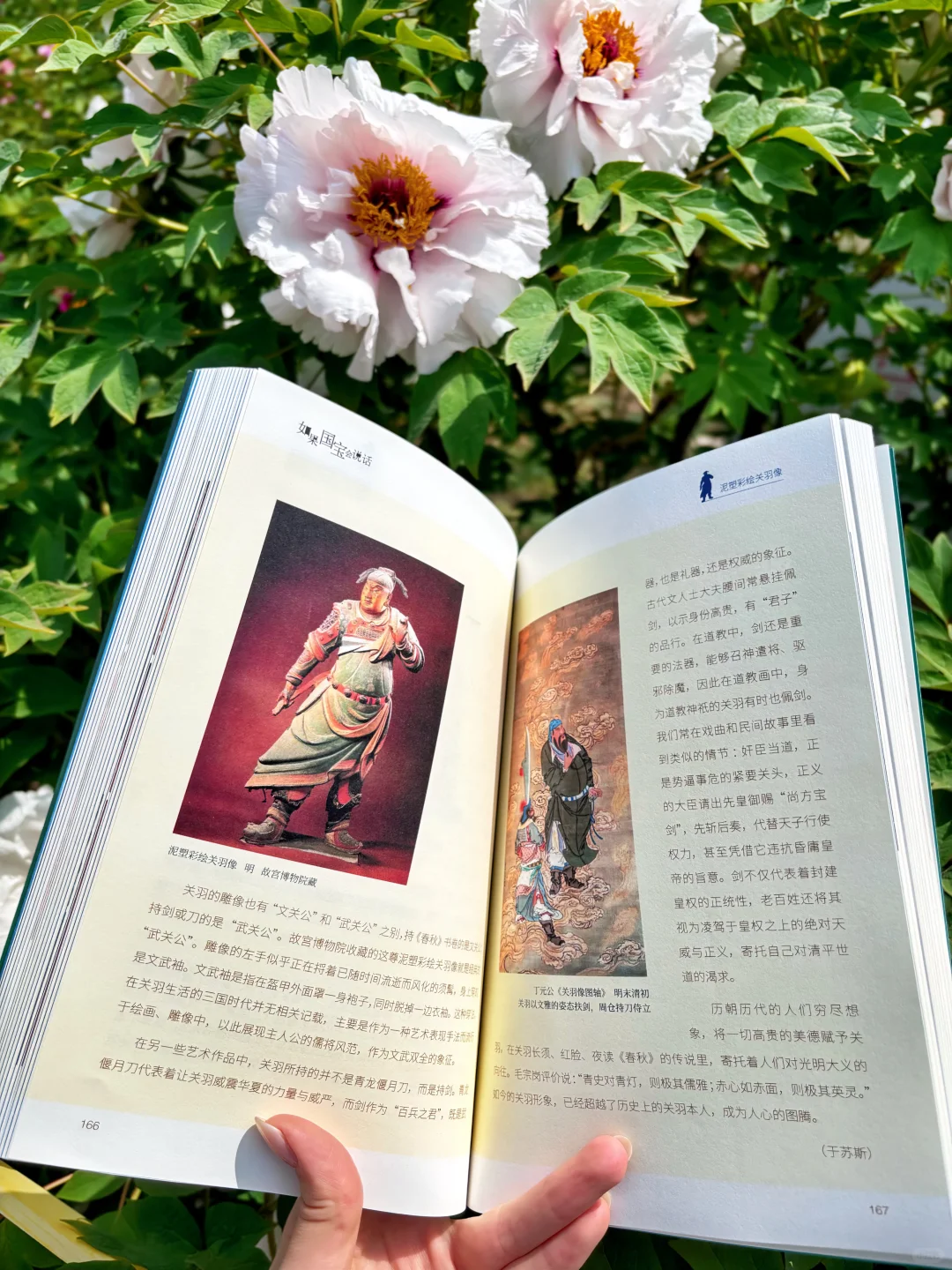 🏛️关于文物的书单，看这一篇就够了！（含🎁）