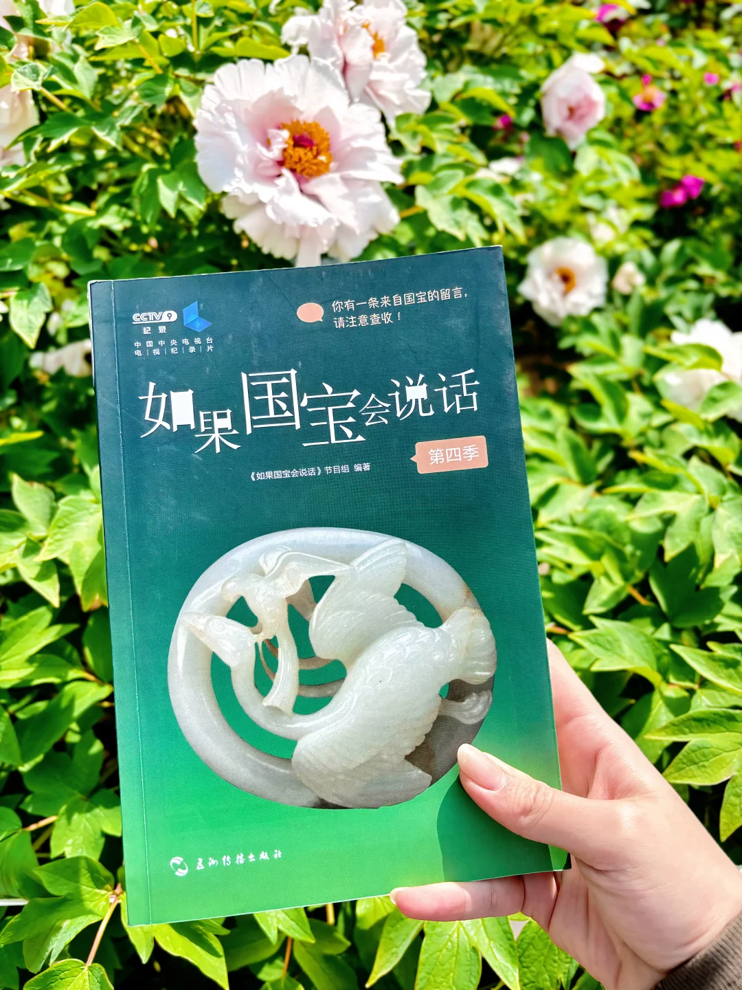 🏛️关于文物的书单，看这一篇就够了！（含🎁）