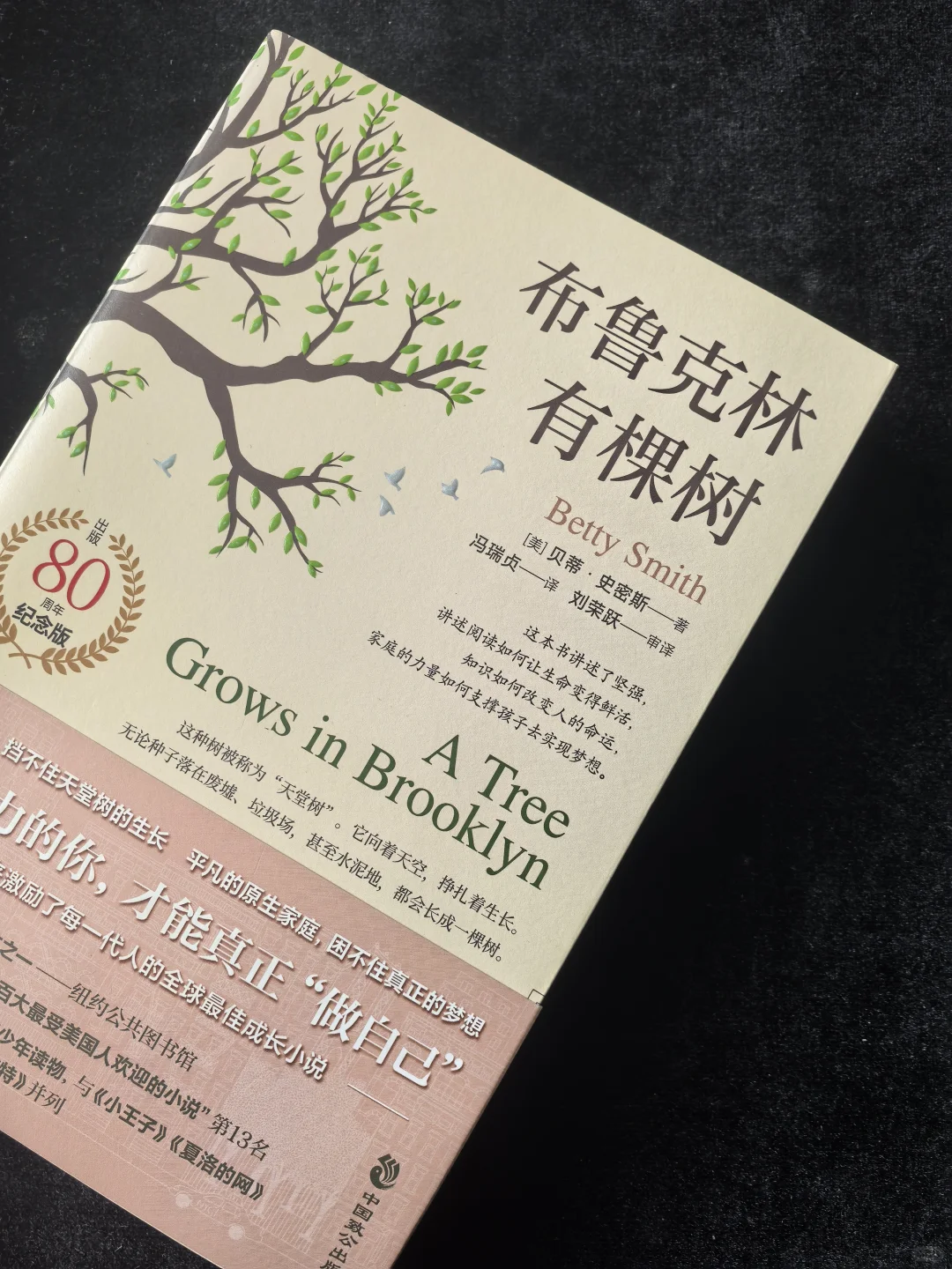 书单｜这些书，陪伴我走出人生低谷期🧣