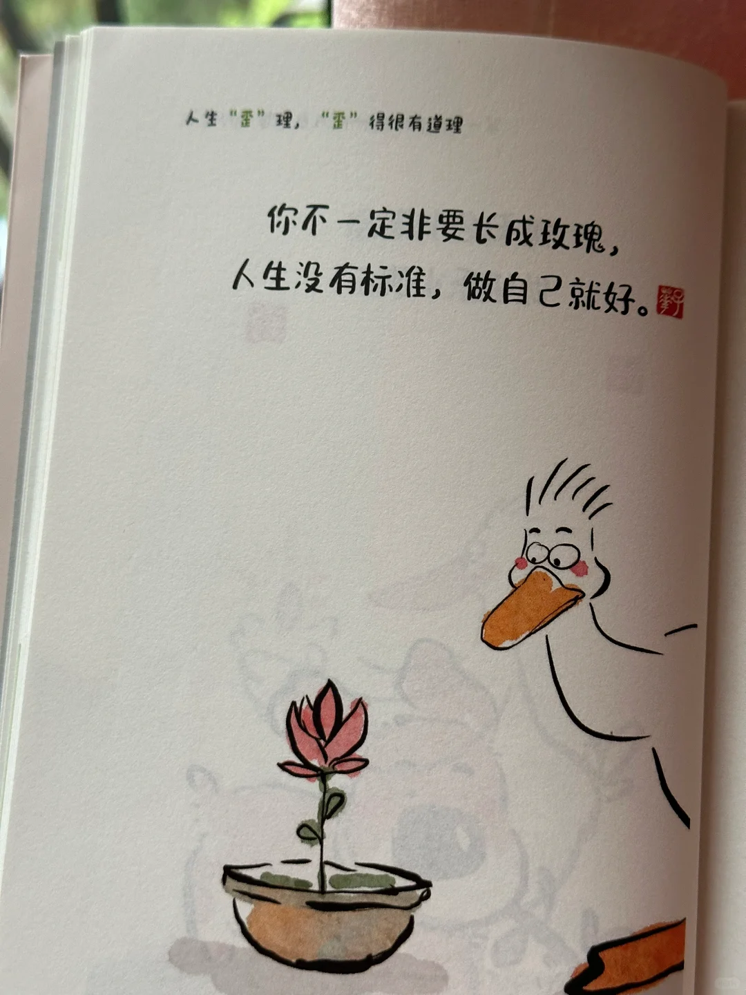 怎么会有这么通透的书啊，💛太太太治愈了～
