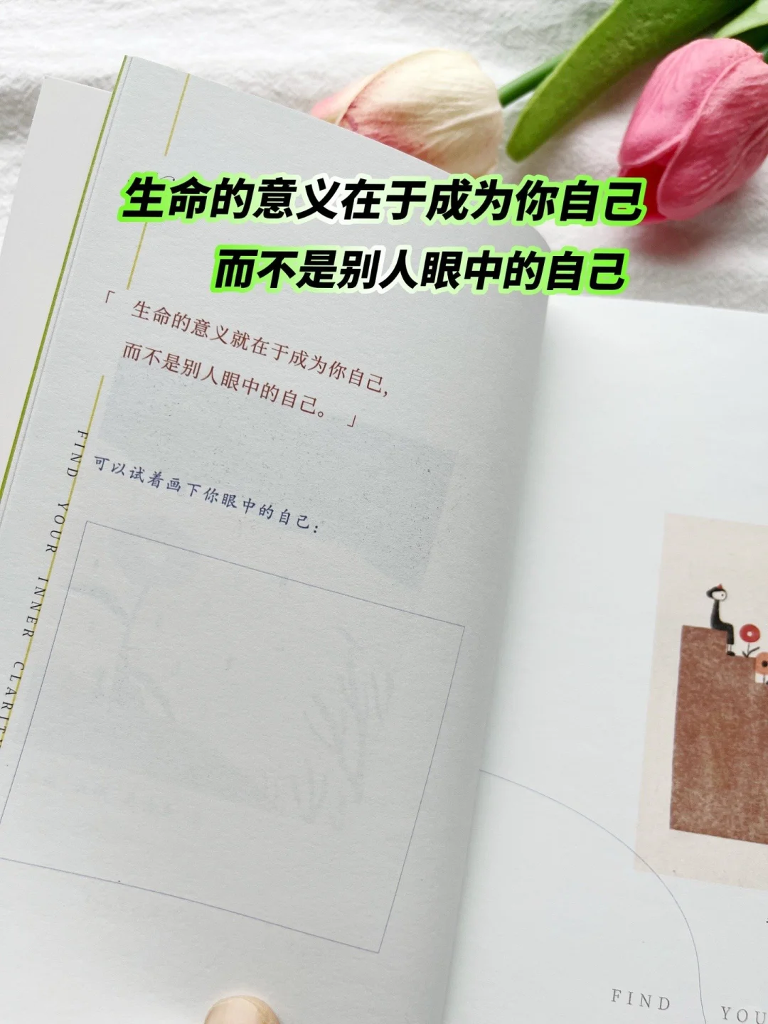 被这本小书治愈到爆😭