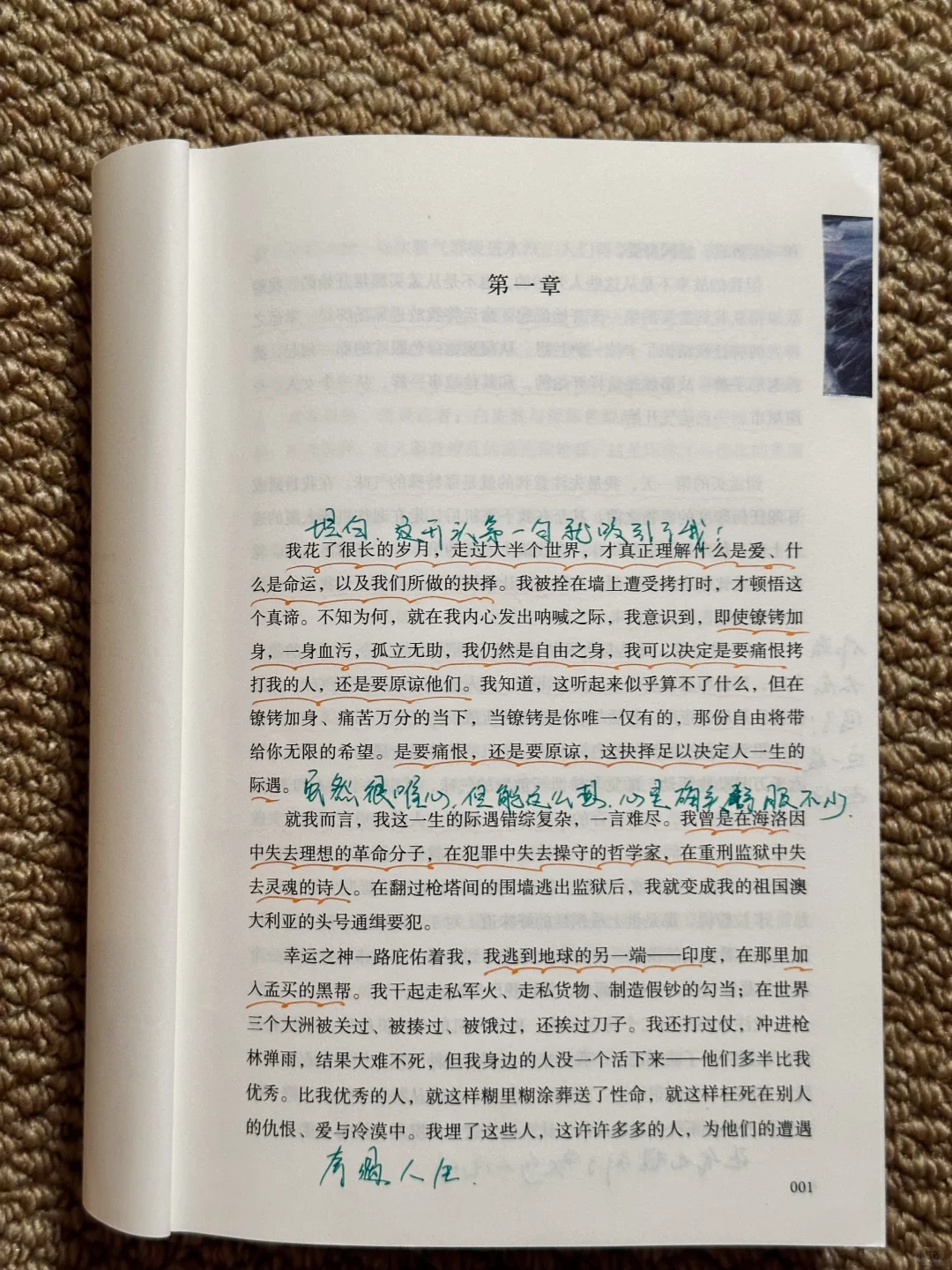 这书太绝了‼一口气看到凌晨4点，给作者跪了