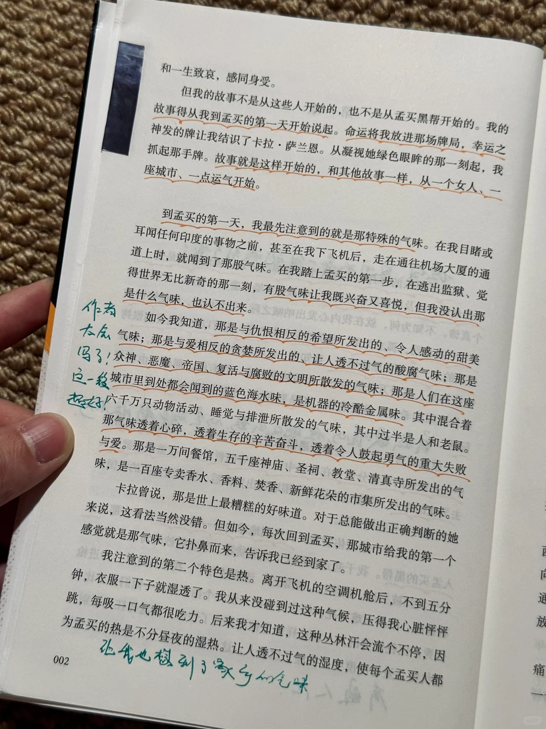 这书太绝了‼一口气看到凌晨4点，给作者跪了