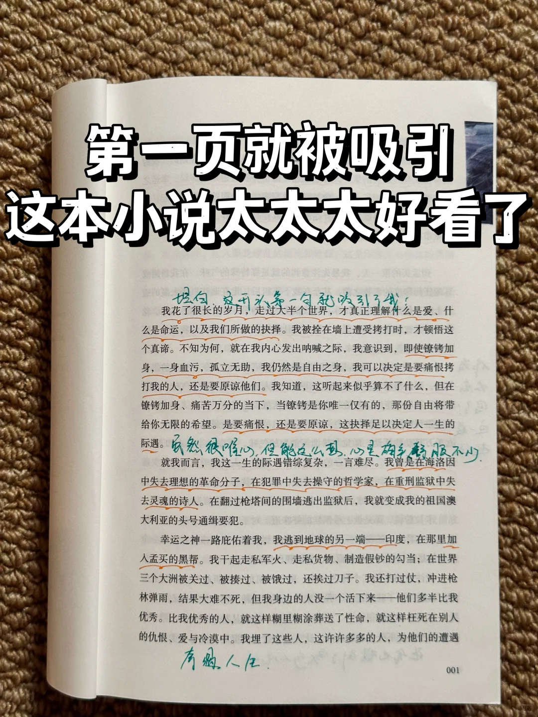 这书太绝了‼一口气看到凌晨4点，给作者跪了