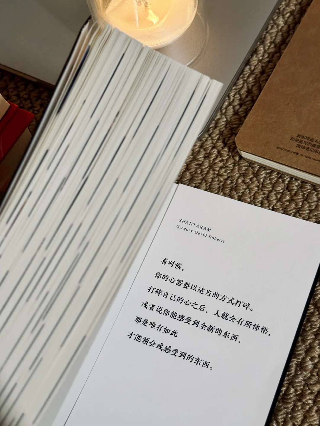 这书太绝了‼一口气看到凌晨4点，给作者跪了