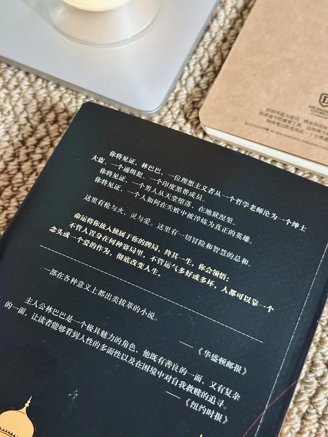 这书太绝了‼一口气看到凌晨4点，给作者跪了