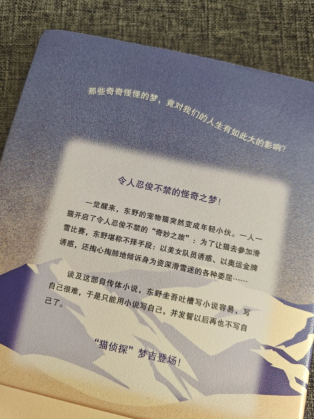 东野圭吾写这本书的快乐真是肉眼可见呀