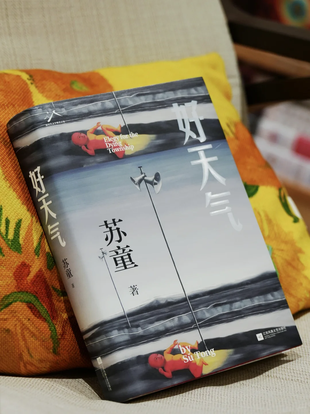 读完苏童新书，对这一代作家不抱期望了