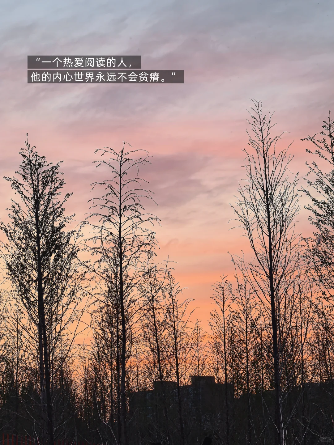 6月赠🎁书|为你们准备了这些好书，别错过