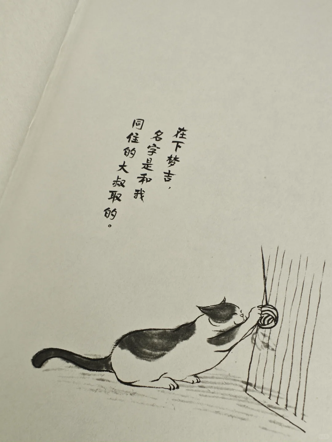 东野圭吾写这本书的快乐真是肉眼可见呀