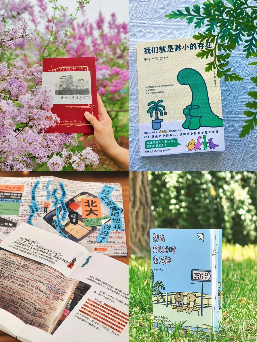 6月赠🎁书|为你们准备了这些好书，别错过