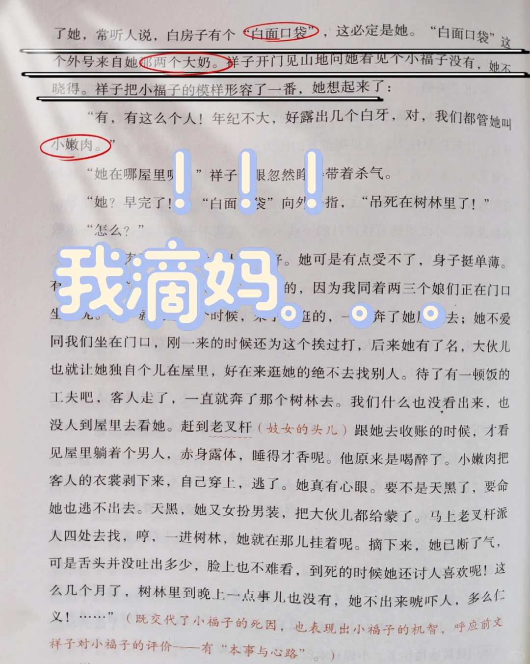 老舍你是这个👍