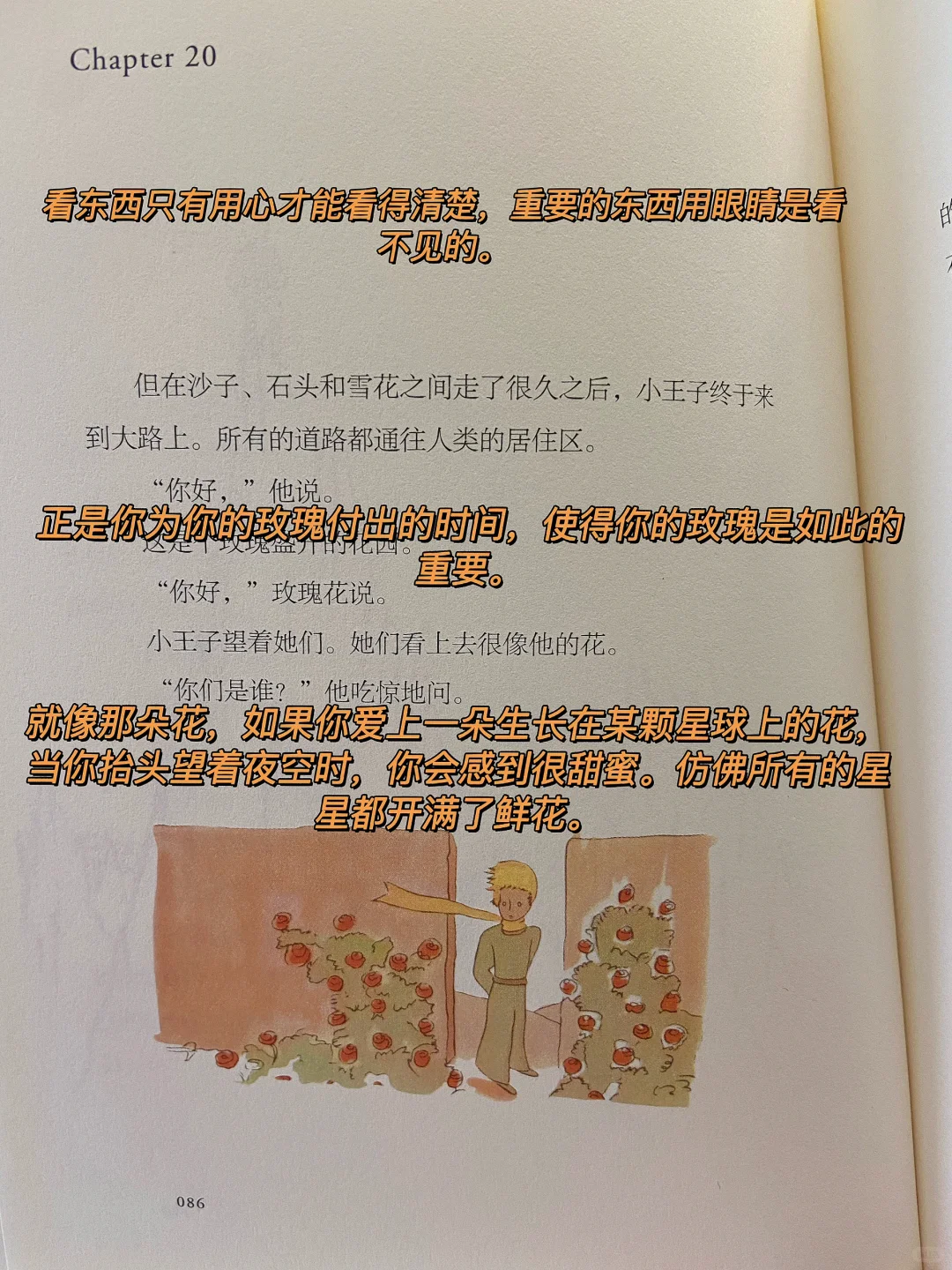 经典文学｜《小王子》——感受他的浪漫与纯真
