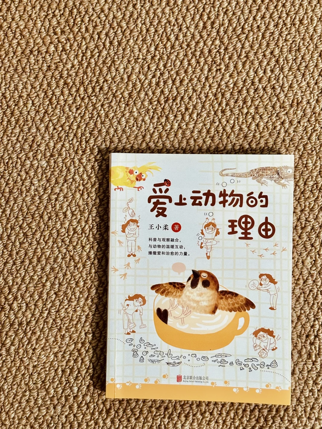 适合小学生的课外阅读书单📚高分不踩雷❗️