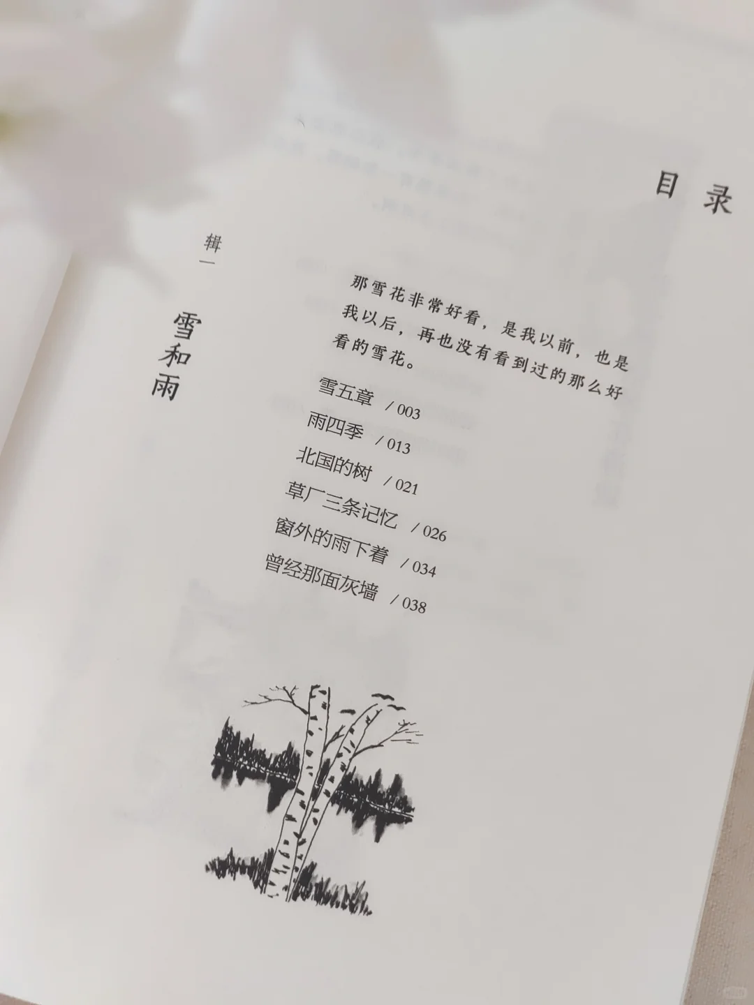 救命！！2025年度挖到的宝藏书单TOP1！！