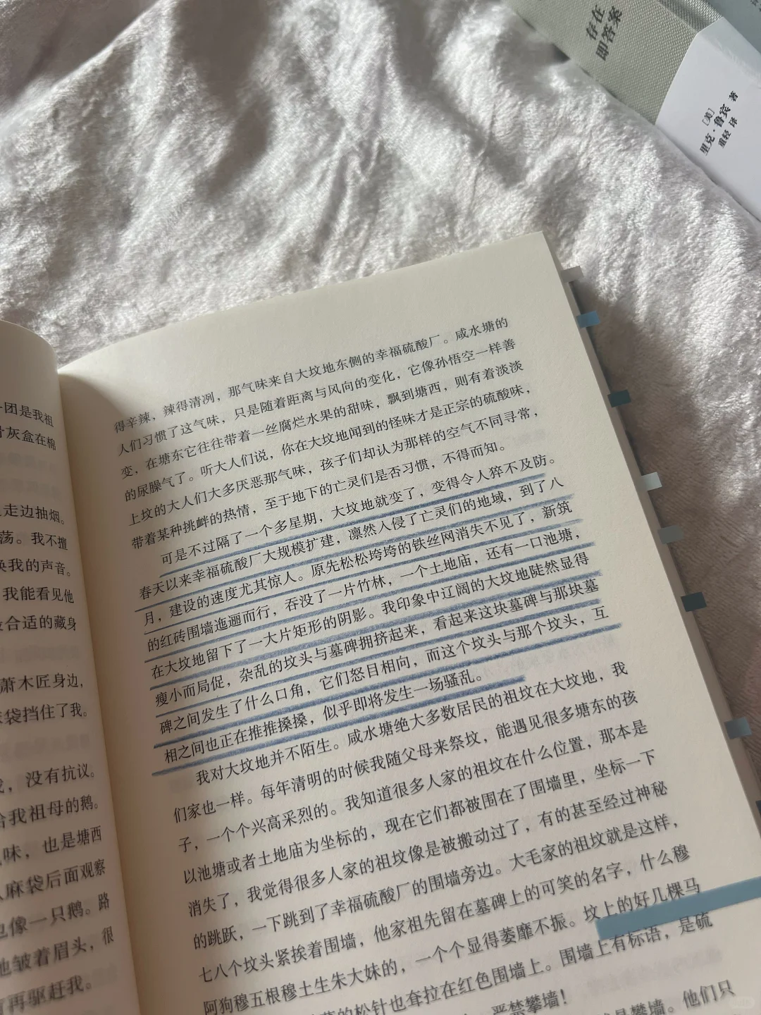 ◻️好天气：这是温情，也是敬意