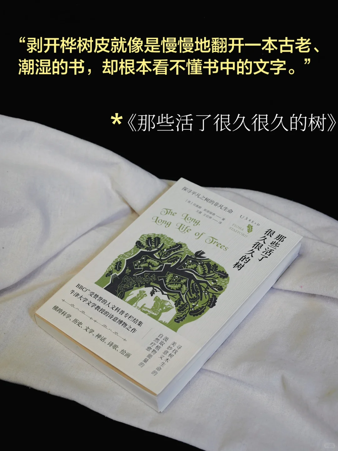 也是吃上细糠了！零帧起手的超绝文笔俘获我