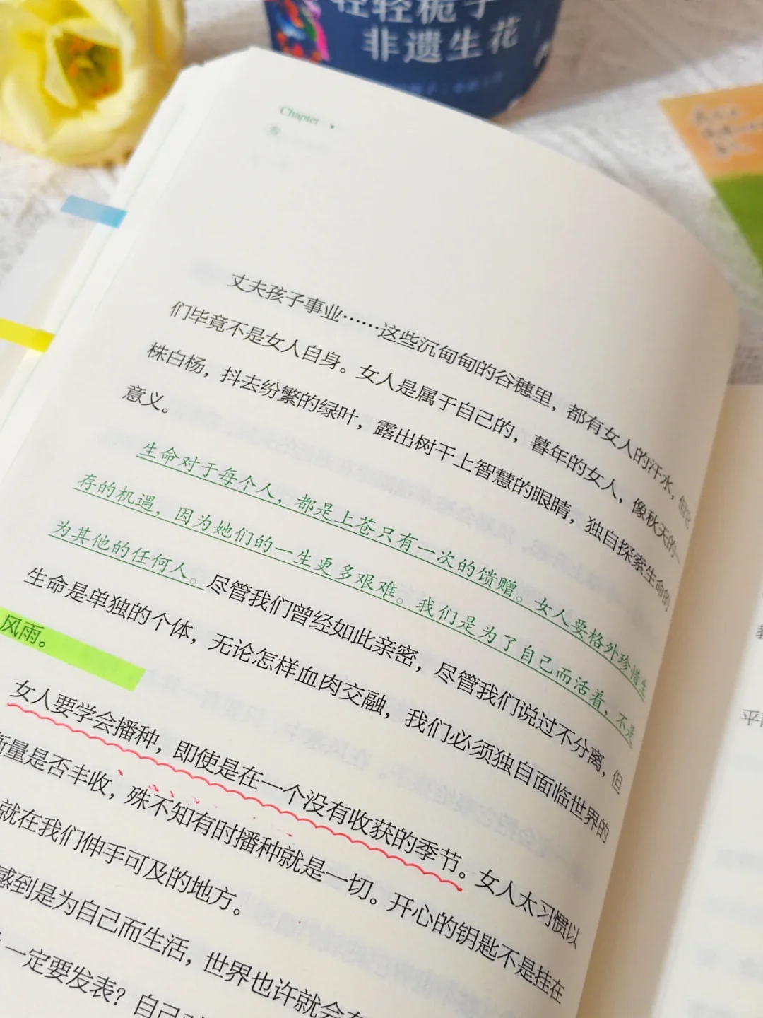 我宣布：这是我2025看过蕞蕞蕞治愈的一本书