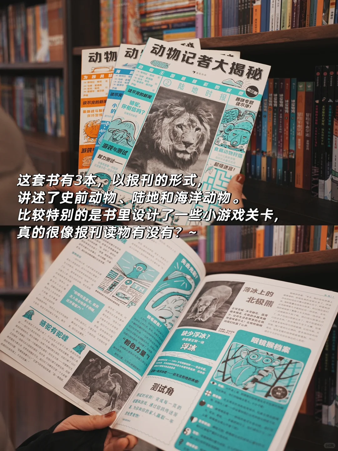 总结一年级小学生最爱看的书 | 合集