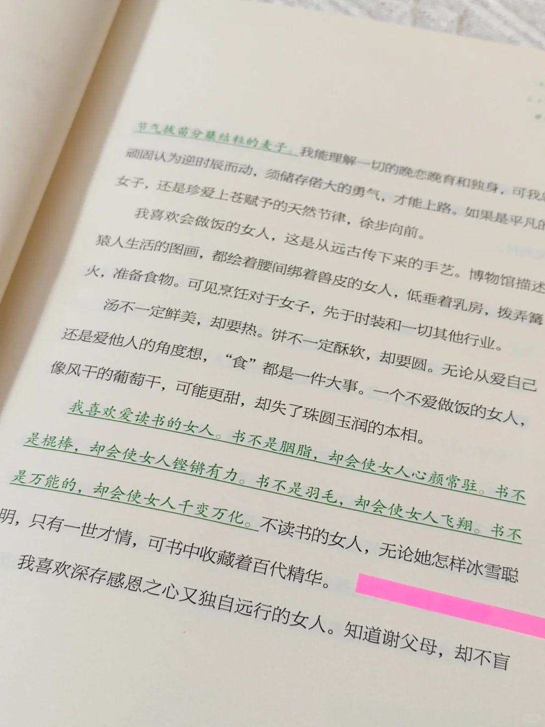 我宣布：这是我2025看过蕞蕞蕞治愈的一本书