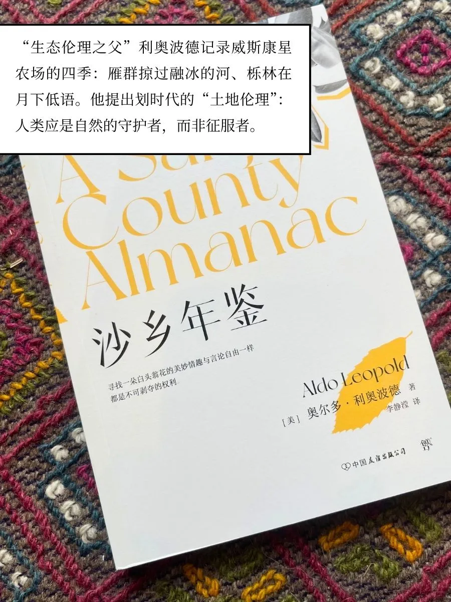 （福利）4本书带你逃往山野🌲 | 自然文学