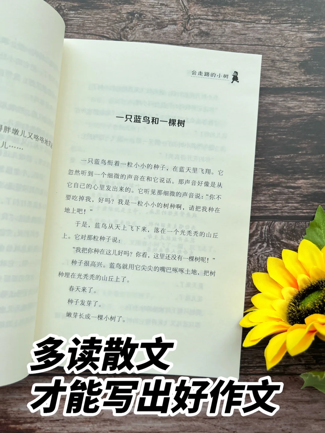 就是这套书，让我孩子作文突飞猛进❗️