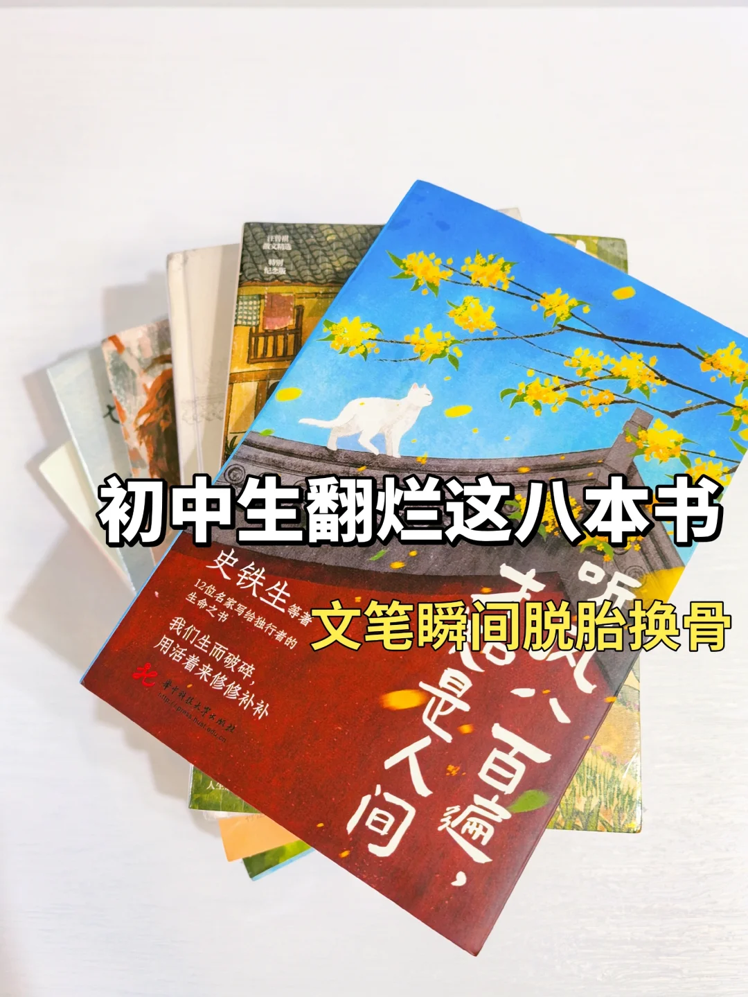 初中生翻烂这八本书❗文笔瞬间脱胎换骨
