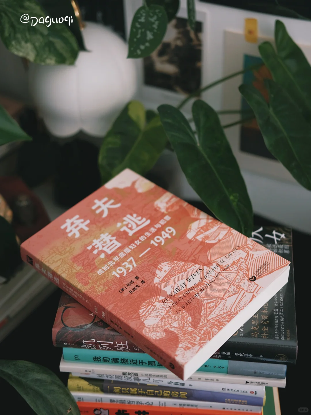 新书留影📖