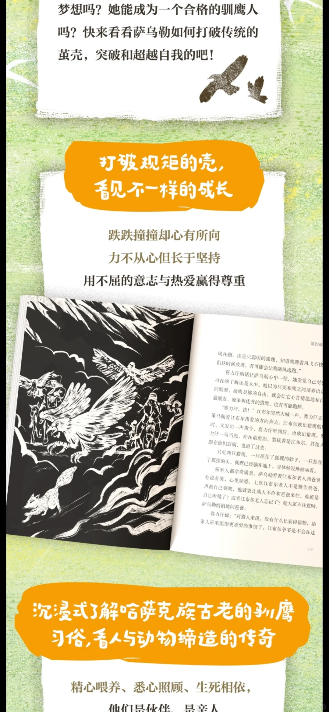 新书快要上市了