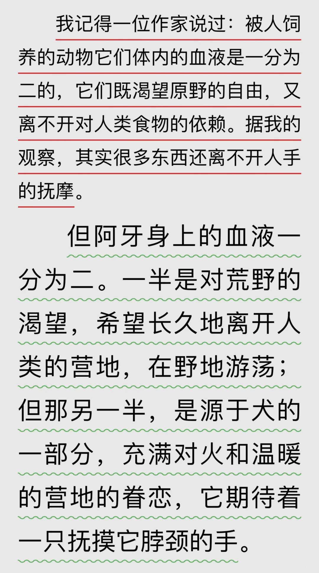 伍剑获冰心奖的《野性的呼唤》厉害了❗️👀