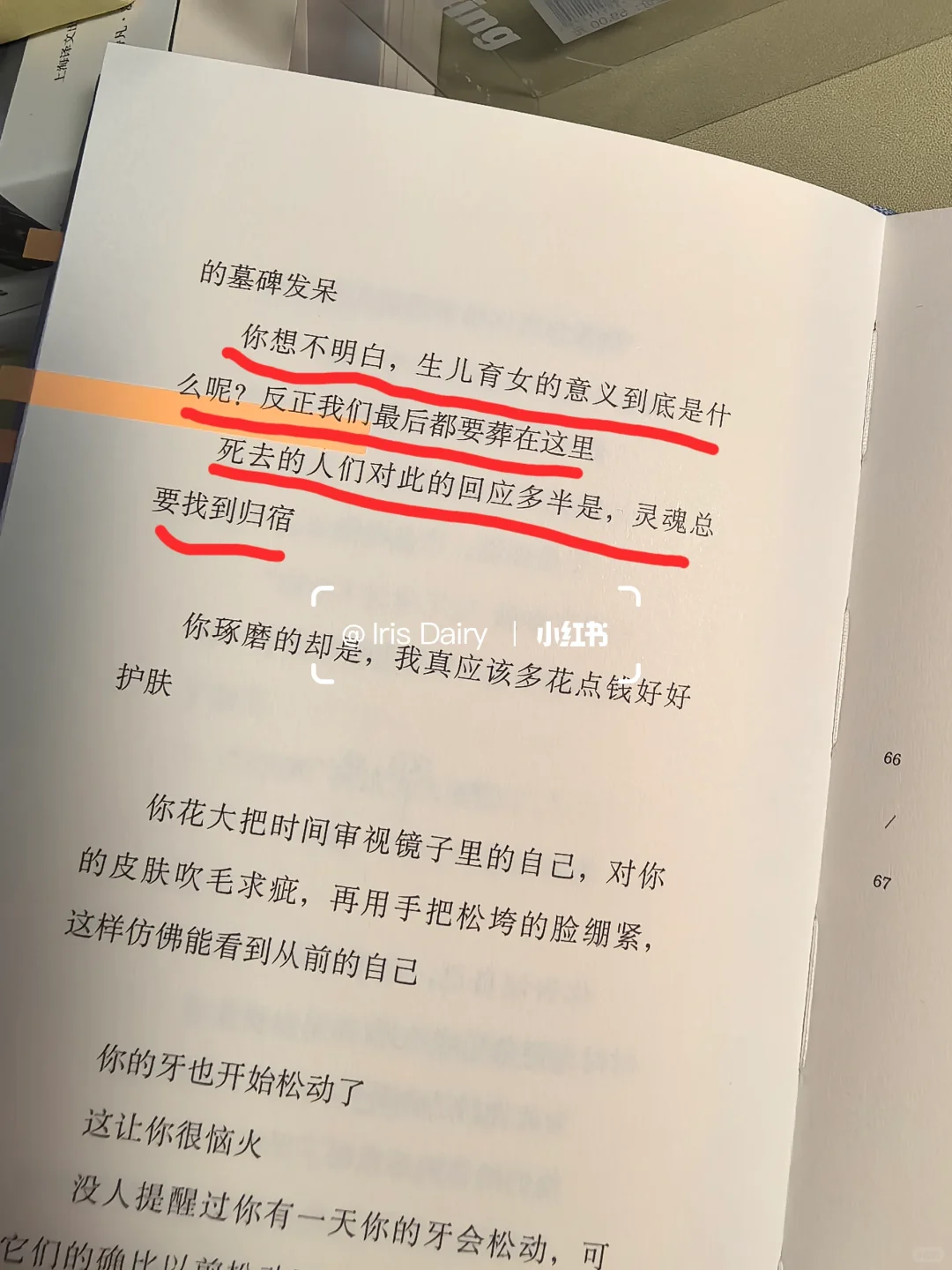 鲁豫：“别祝我一帆风顺，祝我乘风破浪。”