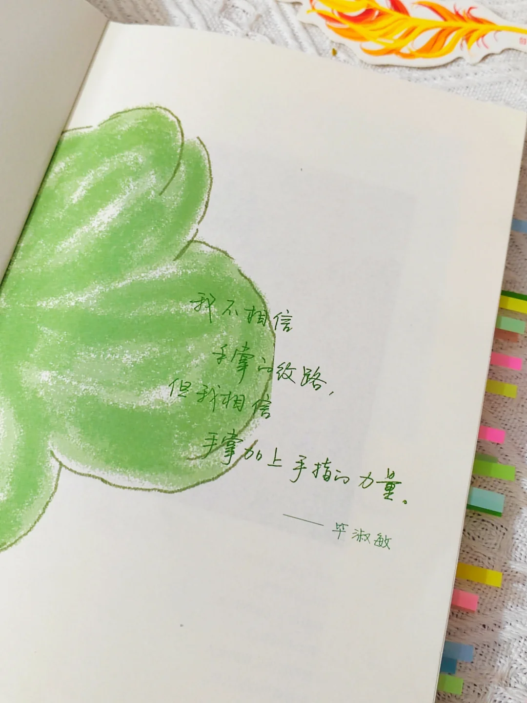 我宣布：这是我2025看过蕞蕞蕞治愈的一本书
